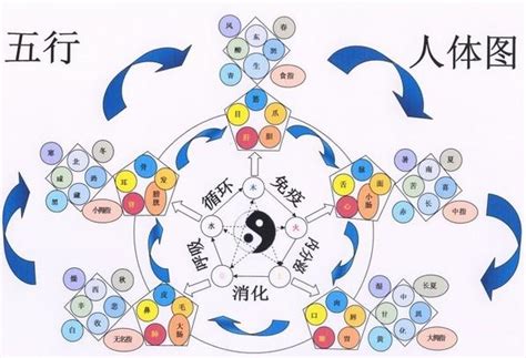 五行数字|易经学基础理论：数字的五行属性及其应用